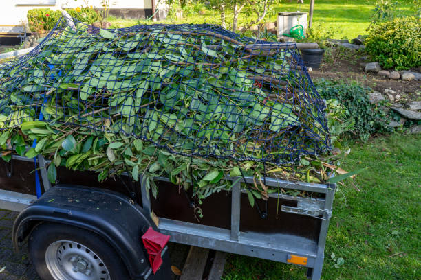 Best Carpet Removal and Disposal  in Ithaca, NY